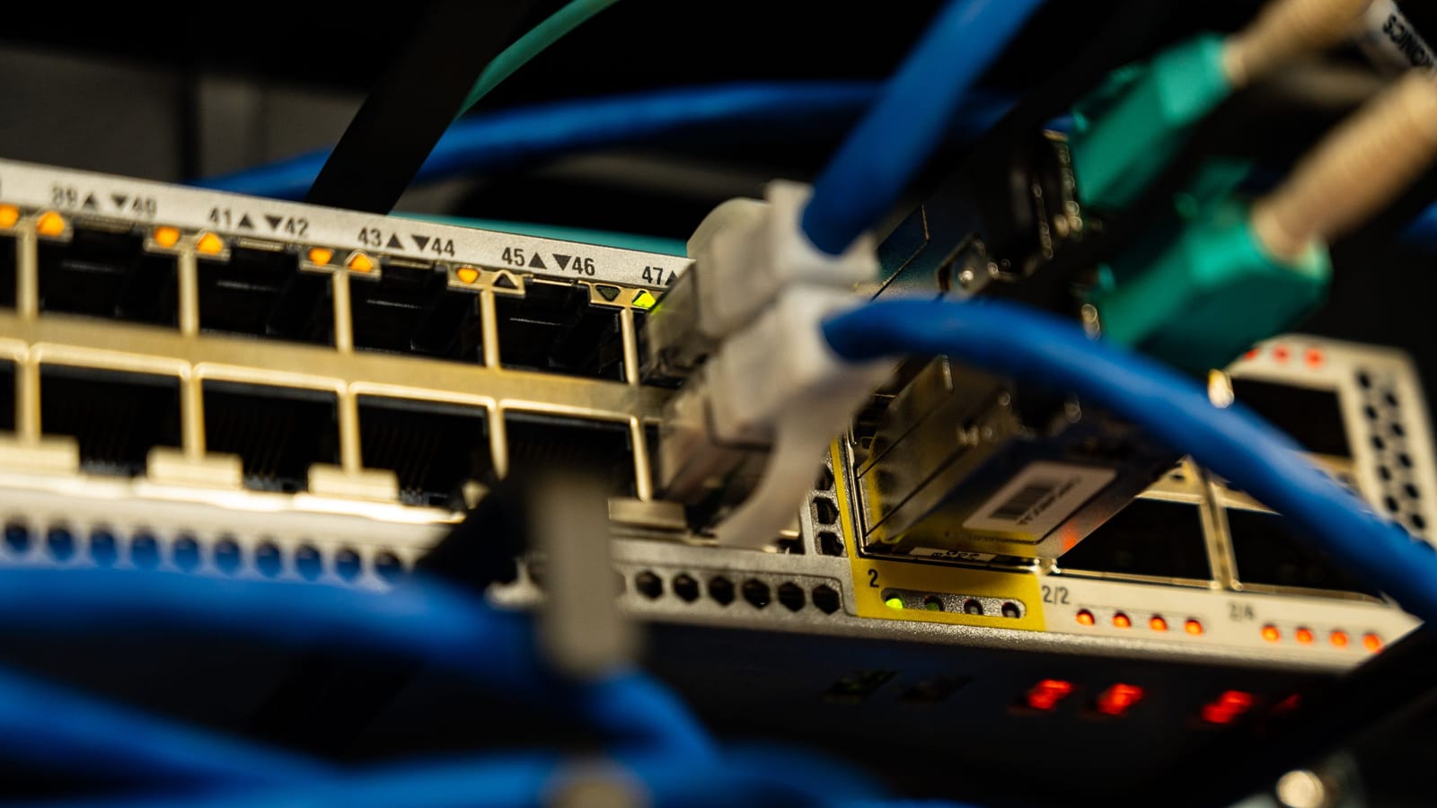 Ethernet cables plugged into a network switch